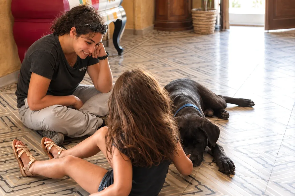 Échanges autour d’un chien couché pendant un bilan d’éducation canine