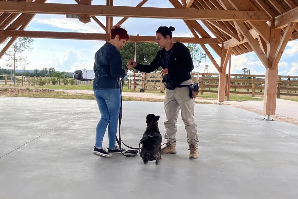Chien assis entre deux personnes pendant un cours individuel d’éducation canine